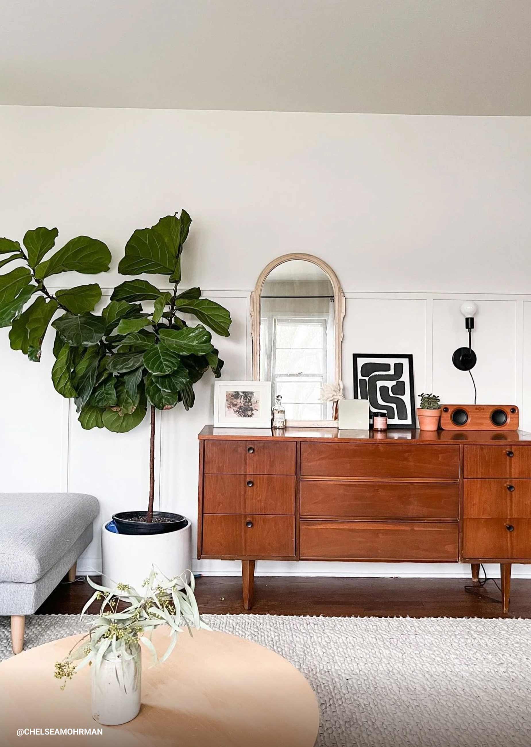 Sideboard in living room next to fiddle leaf fig tree.