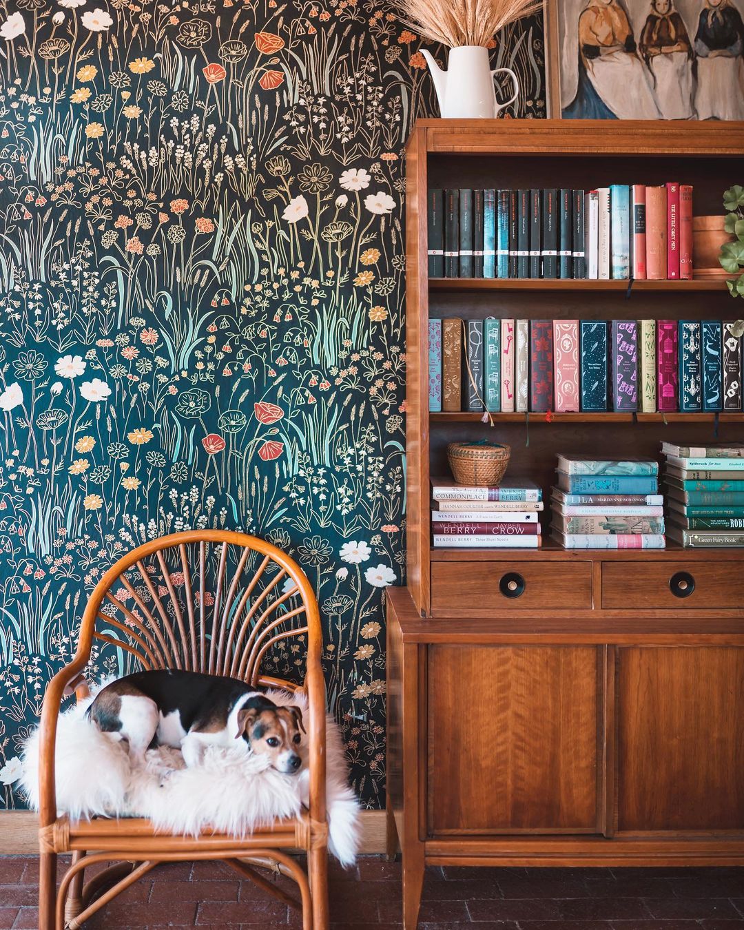 dog lying in a chair next to a bookshelf