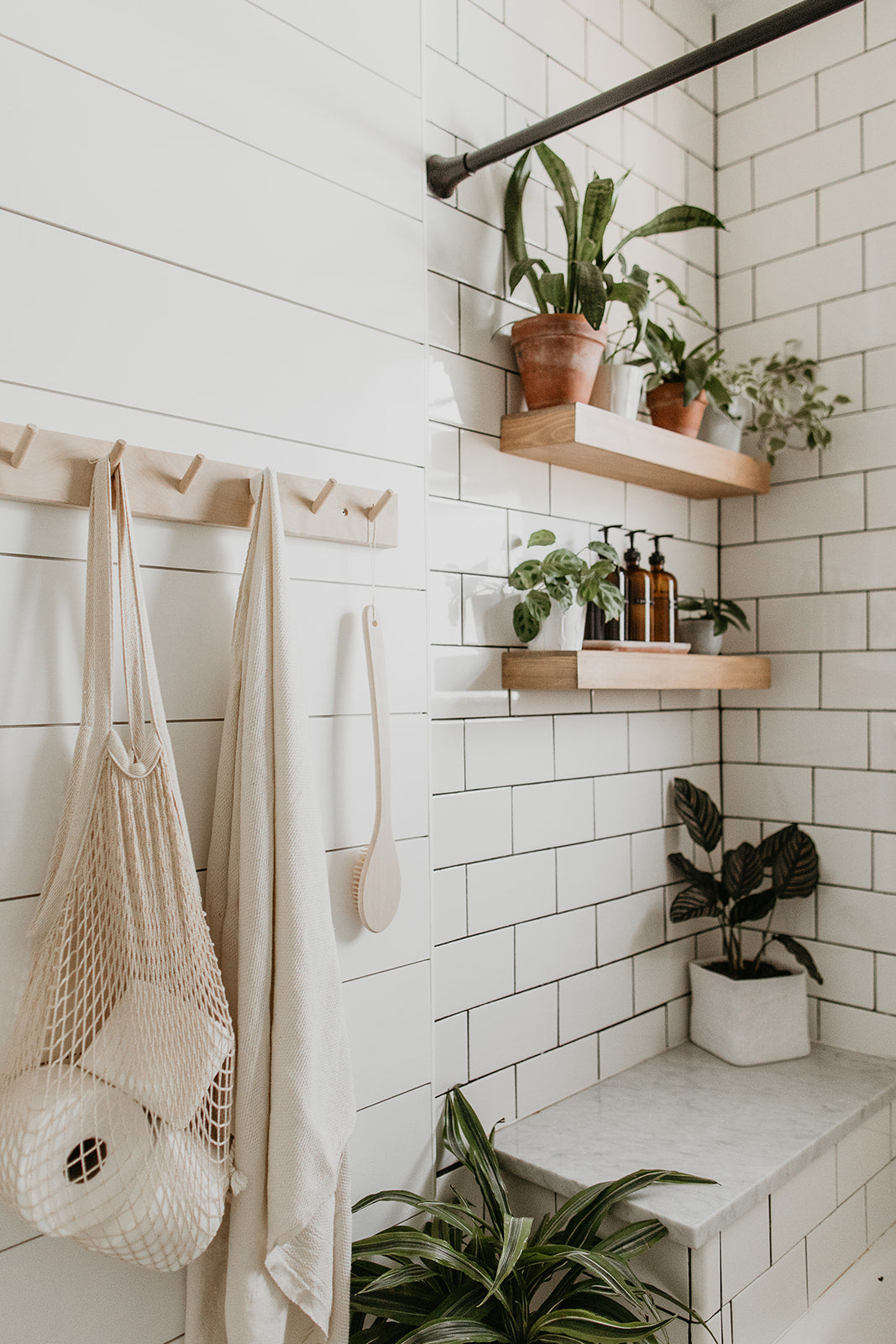 white wall with plants on a shelf