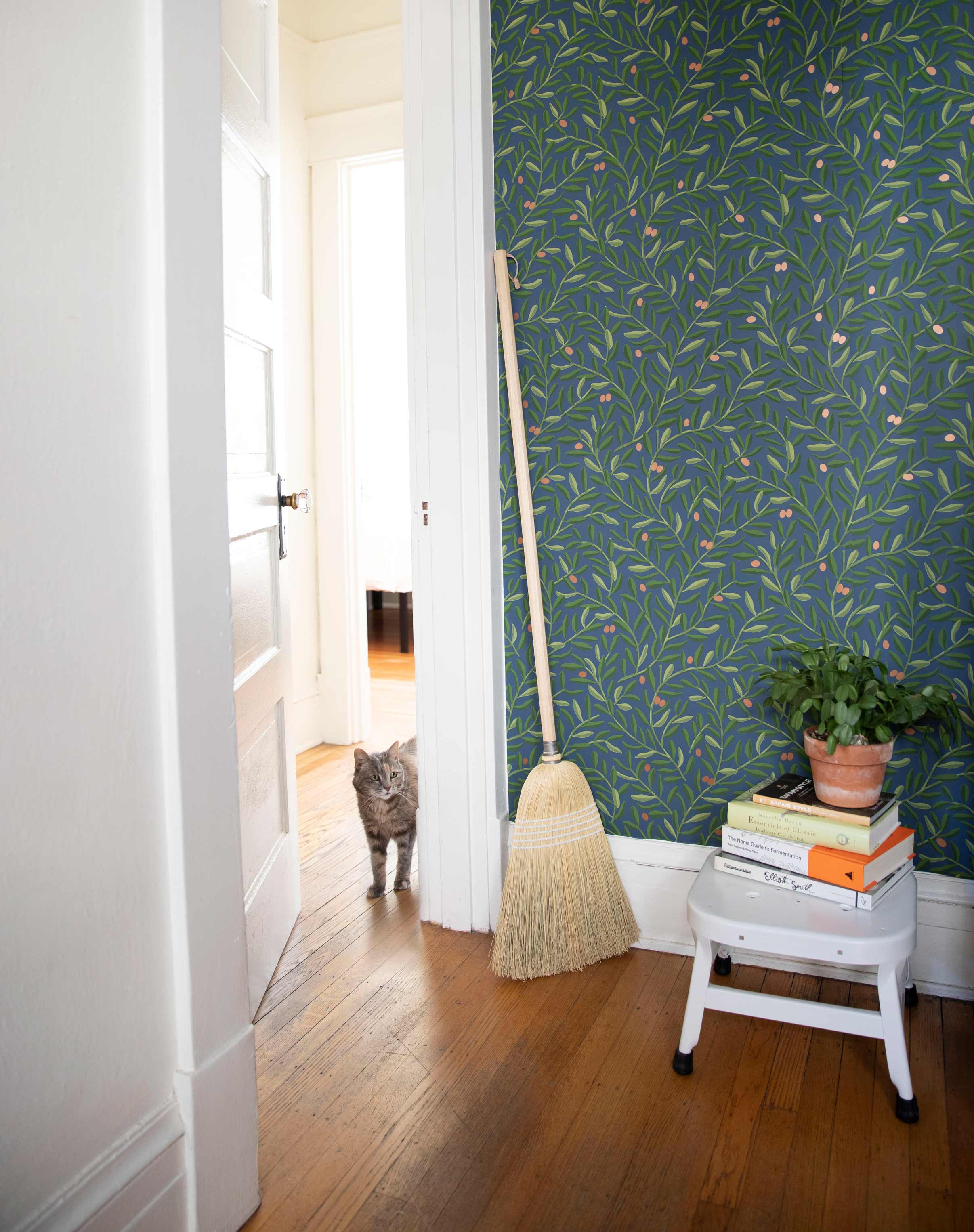 Cat peeking around doorframe into room with olive grove wallpaper, broom, and a utility stool holding a stack of books and a plant.