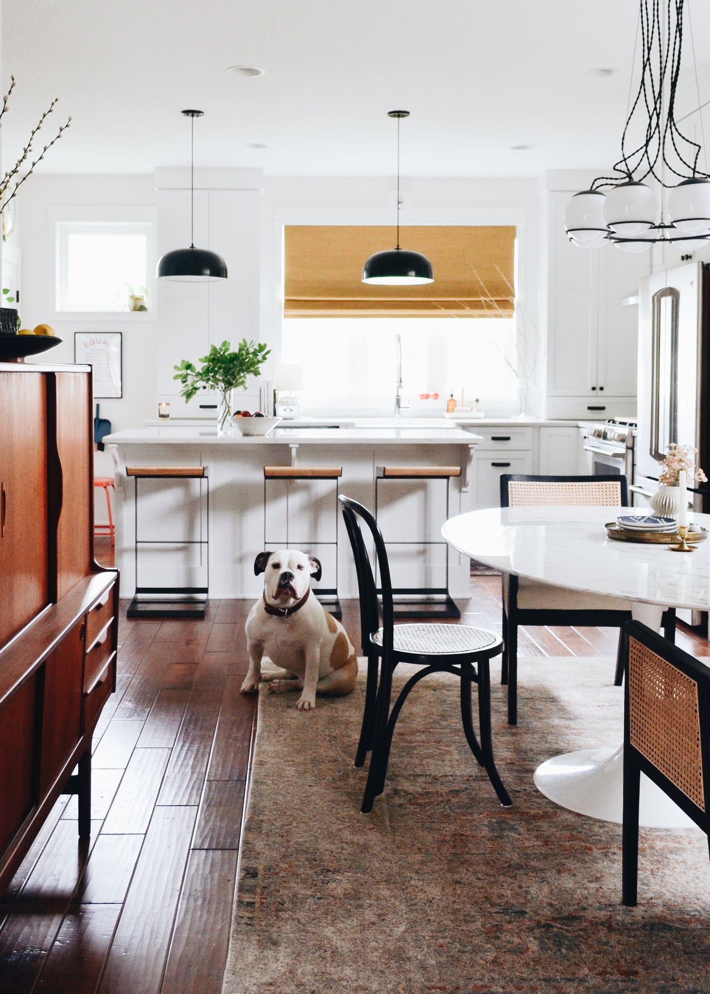 dog sitting on the floor next to a table