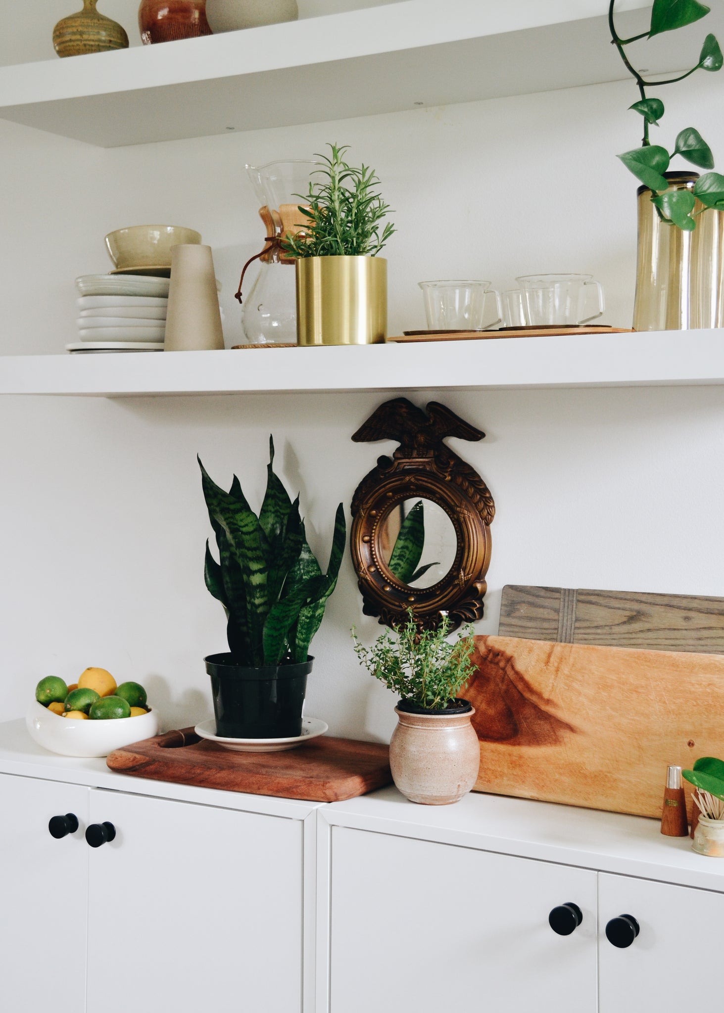 shelf with dishes on it