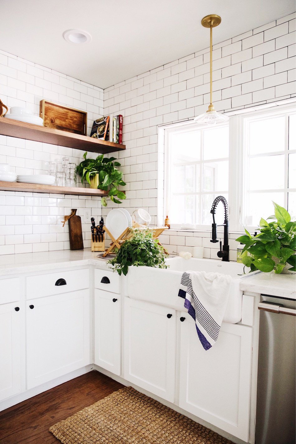 kitchen with white cabinets and plants 