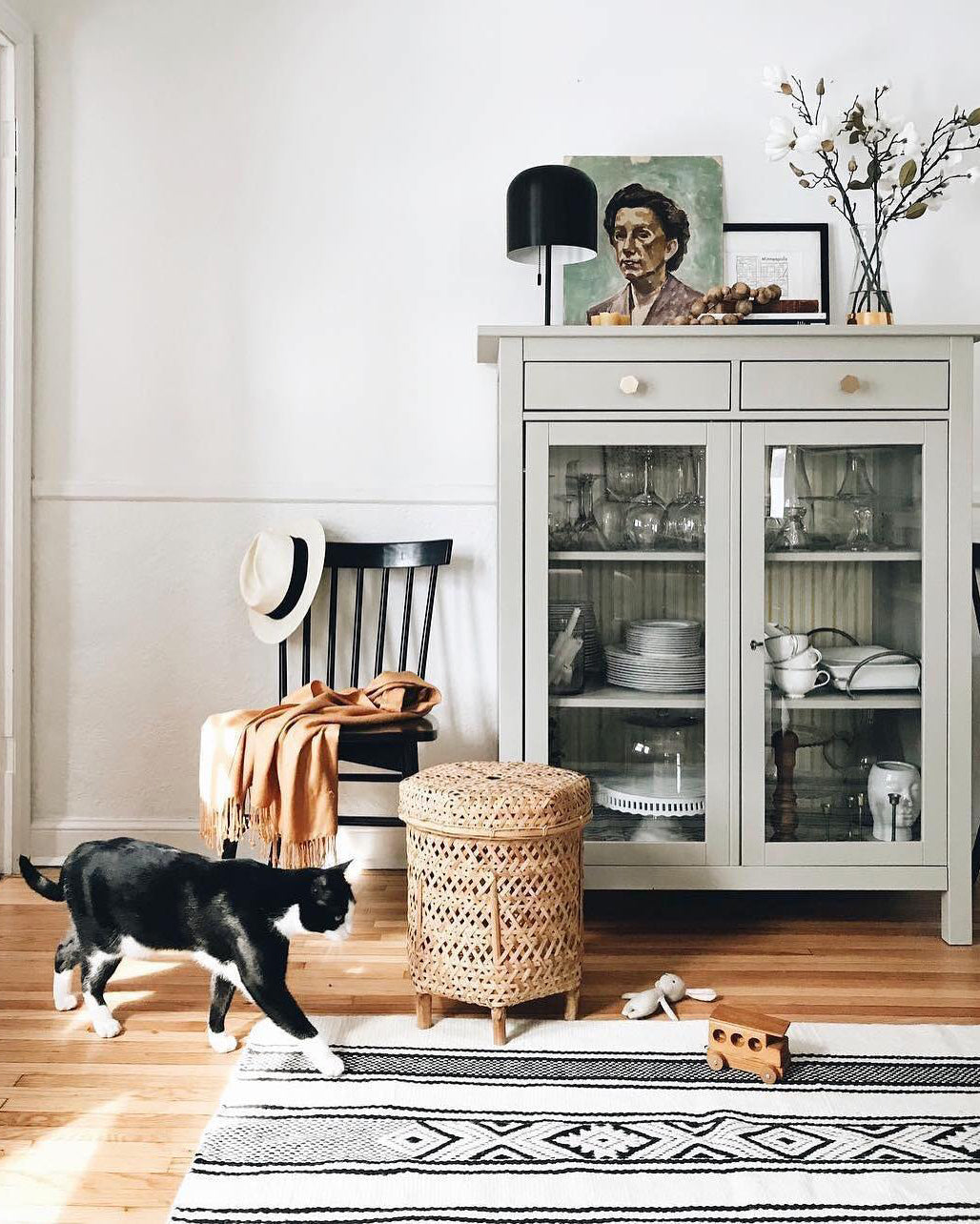 cat standing on a wood floor in front of a shelf with dishes