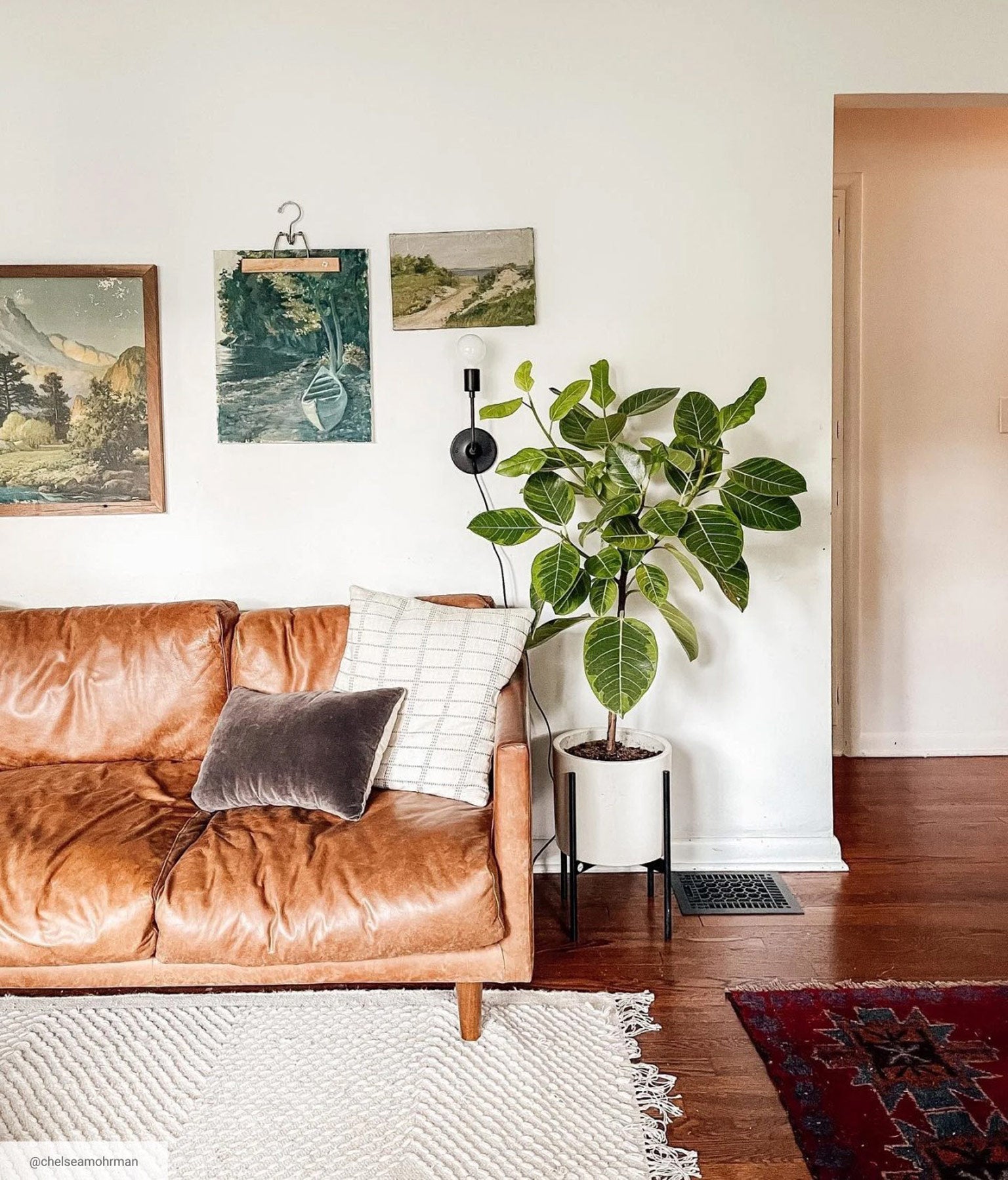 Bright living room with a mid century leather couch, white rug, and standing potted plant.
