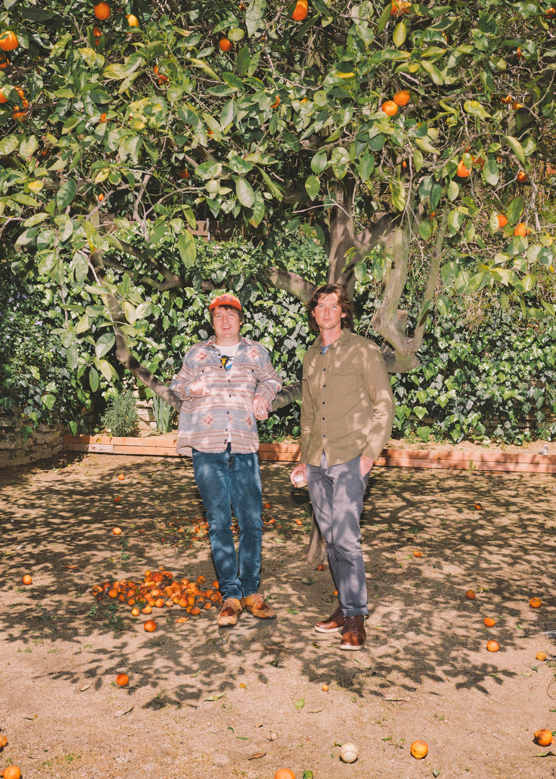 The Milk Carton Kids standing under an orange tree. 