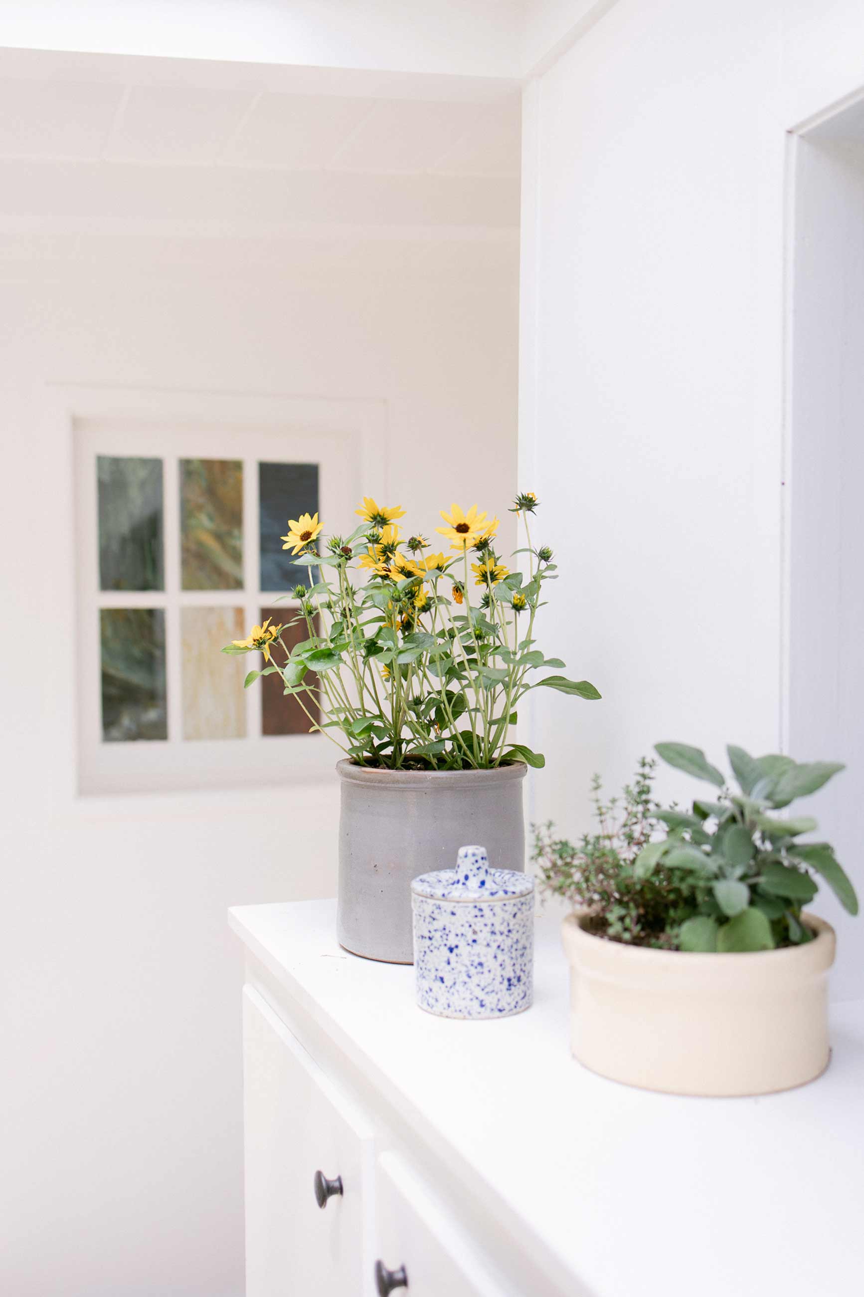 Planters with flowers in them sitting atop white shelf.