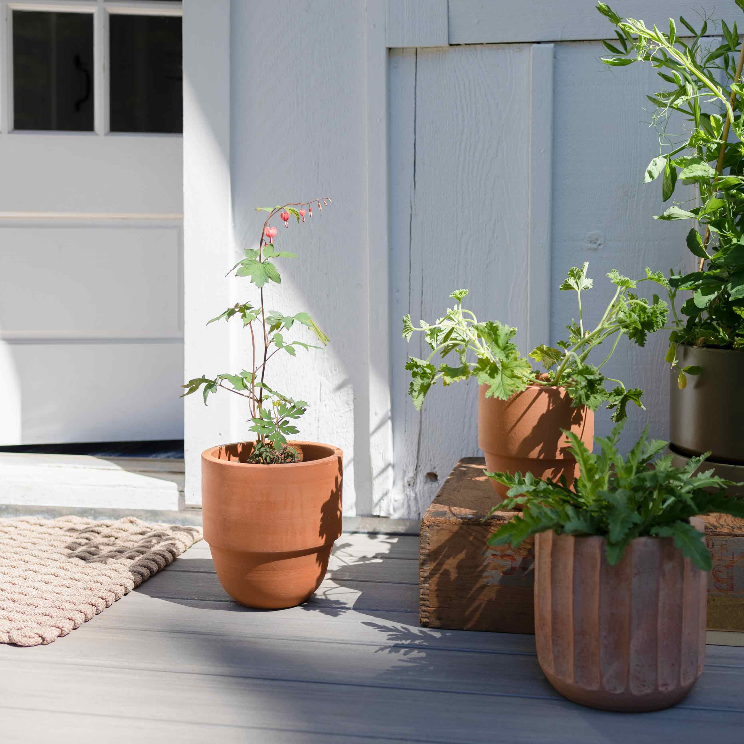 Collection of planters with various plants and greenery in them on front porch. 