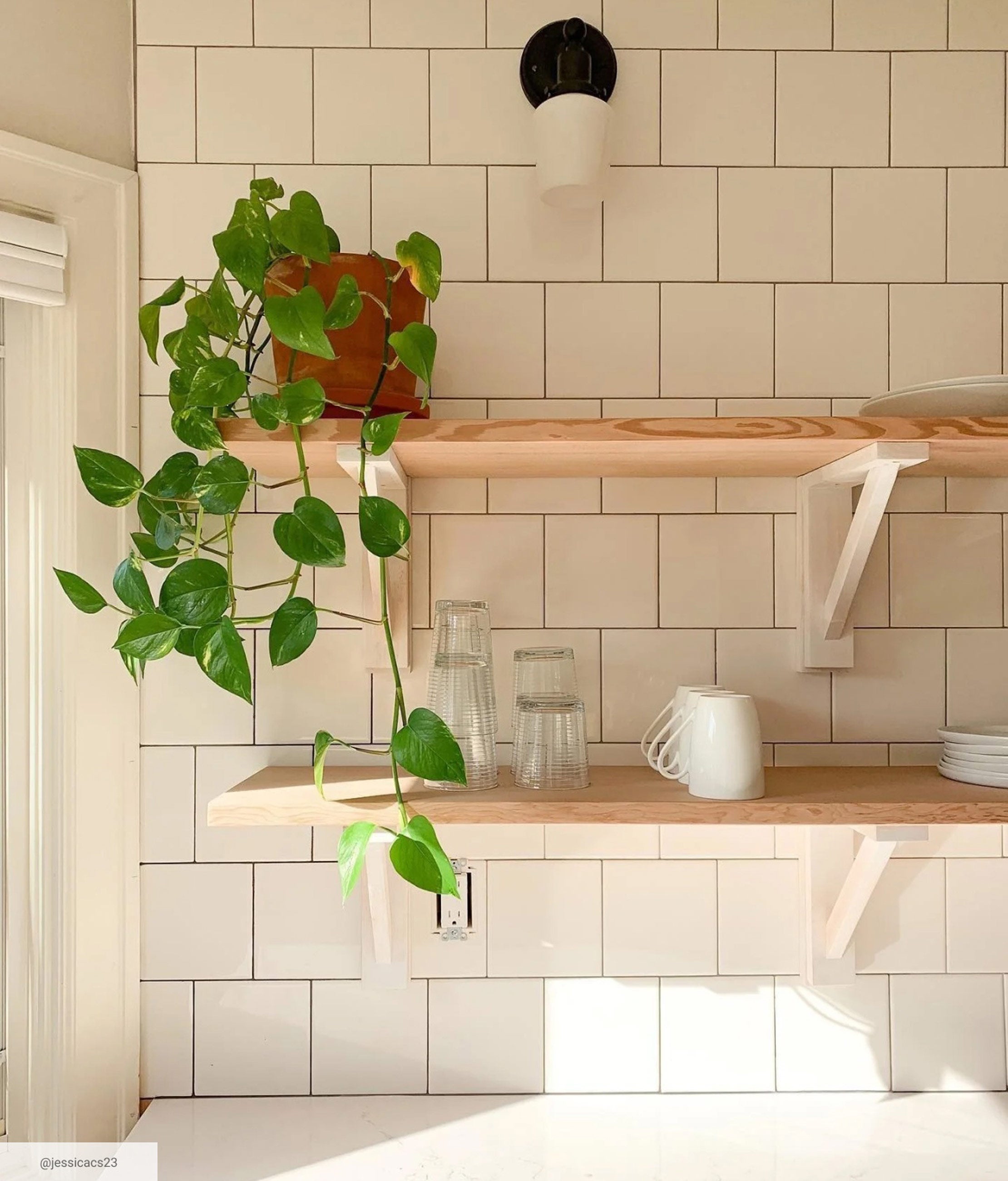 Sunny kitchen with subway tile and open shelves holding glassware and a potted pothos plant.