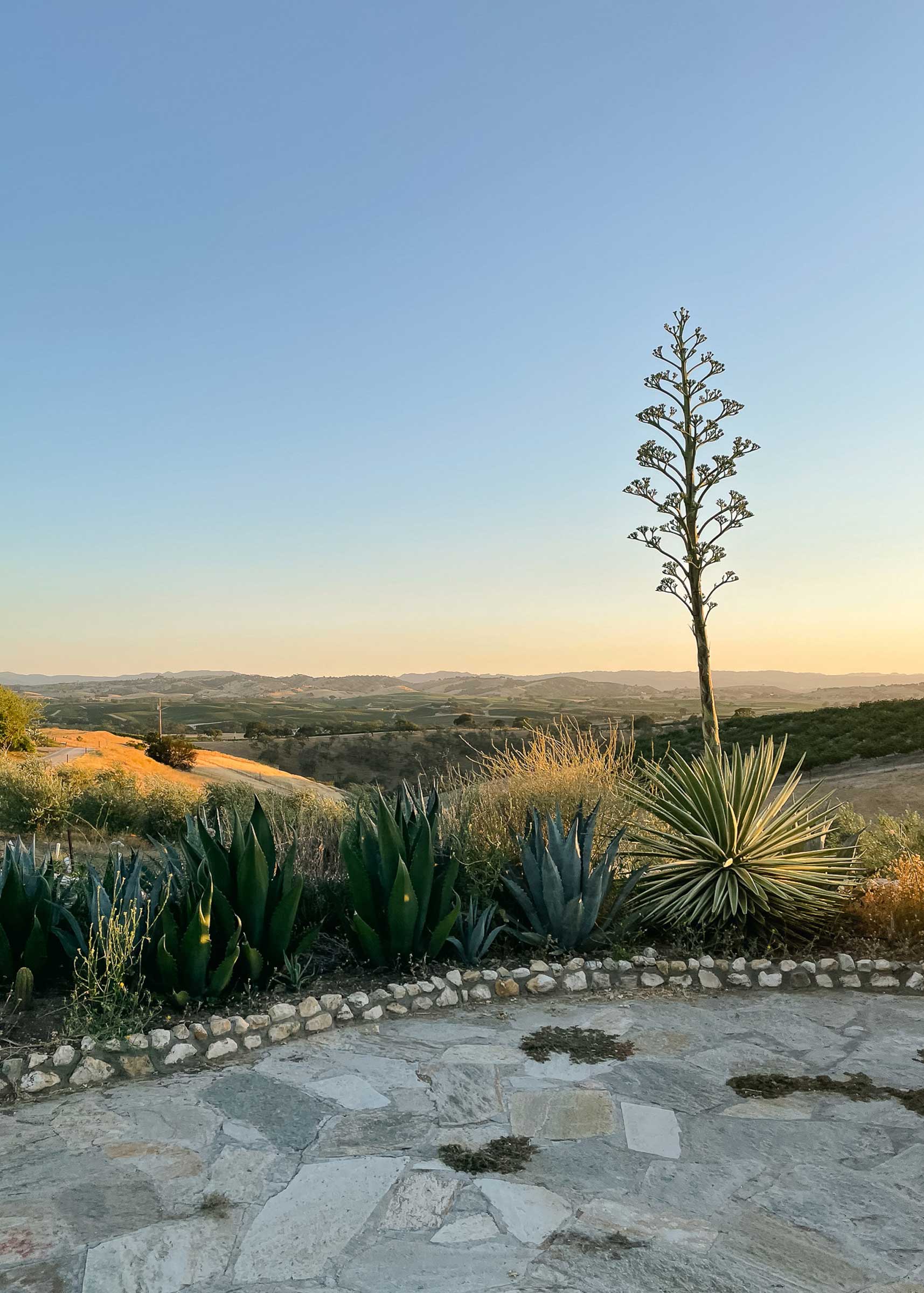 A sunset in a winery in California. 