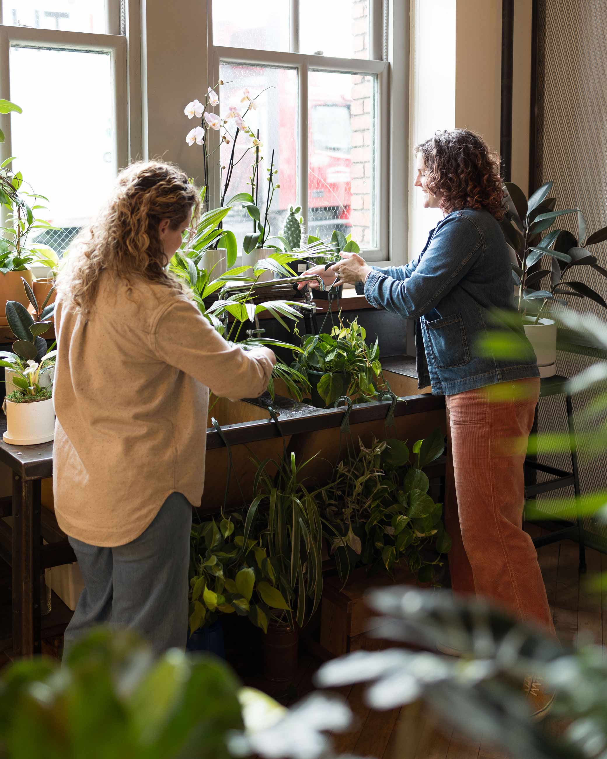 Women in plant store tending to potted plants. 