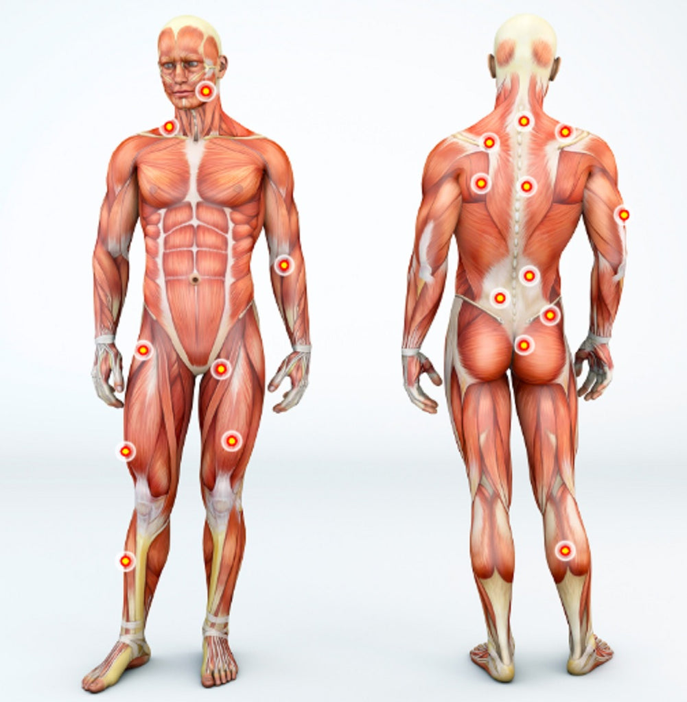 Keep Your Fascia Healthy