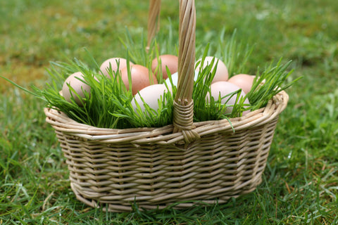 How to Make a Wheatgrass Easter Basket