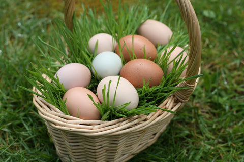 natural easter basket wheatgrass