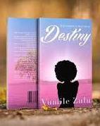 Destiny, by Vumile Zulu, romance novel, African novel