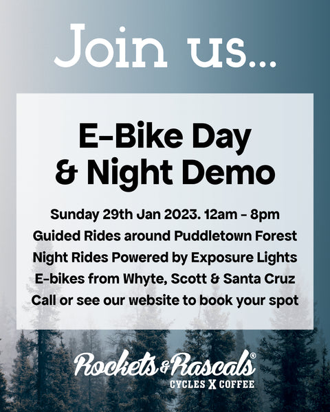 e-bike demo