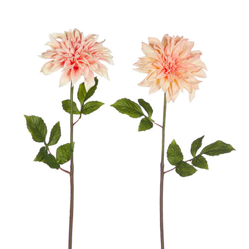 Set of 4 29" Real Touch Dahlia Stem Lisa Robertson