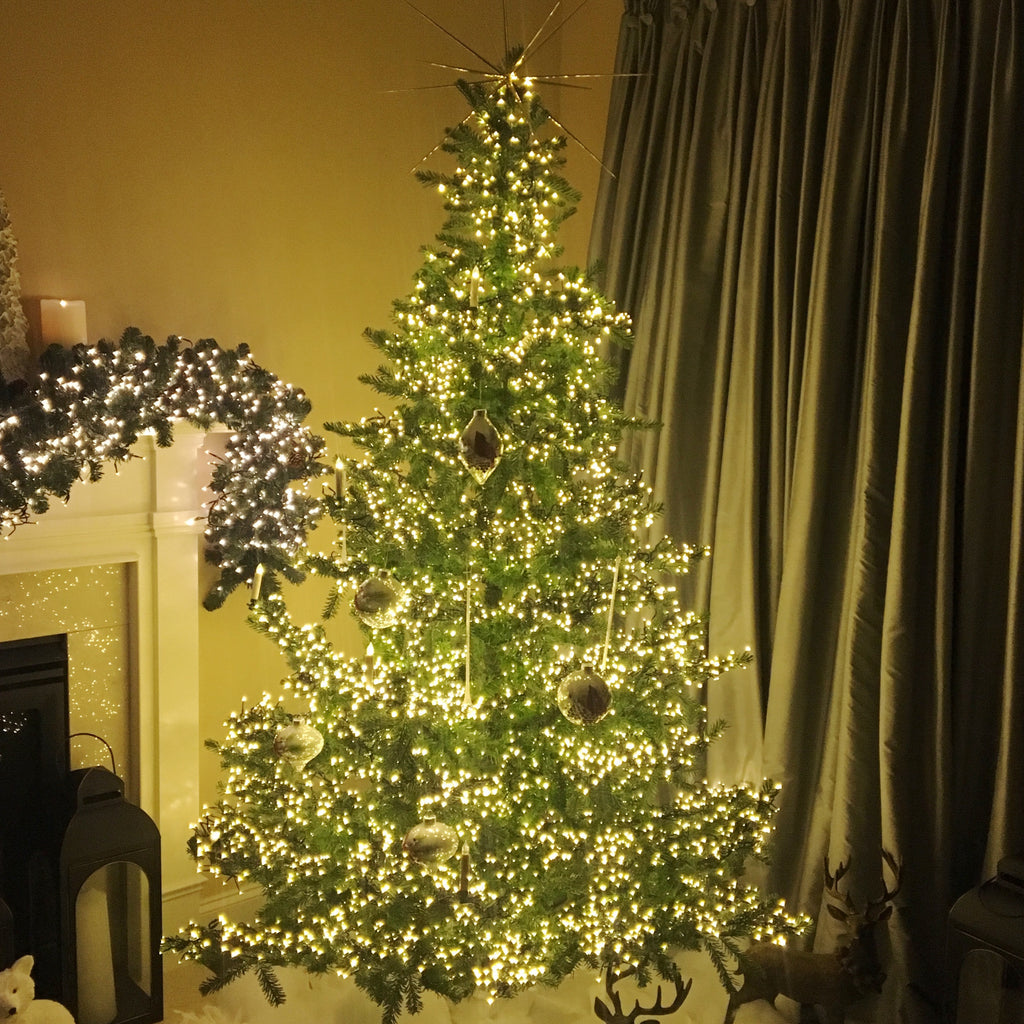 christmas tree with lights