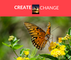 Create Change- 4 Week Self- Study