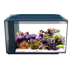 fluval 13.5 gallon evo xii marine aquarium kit