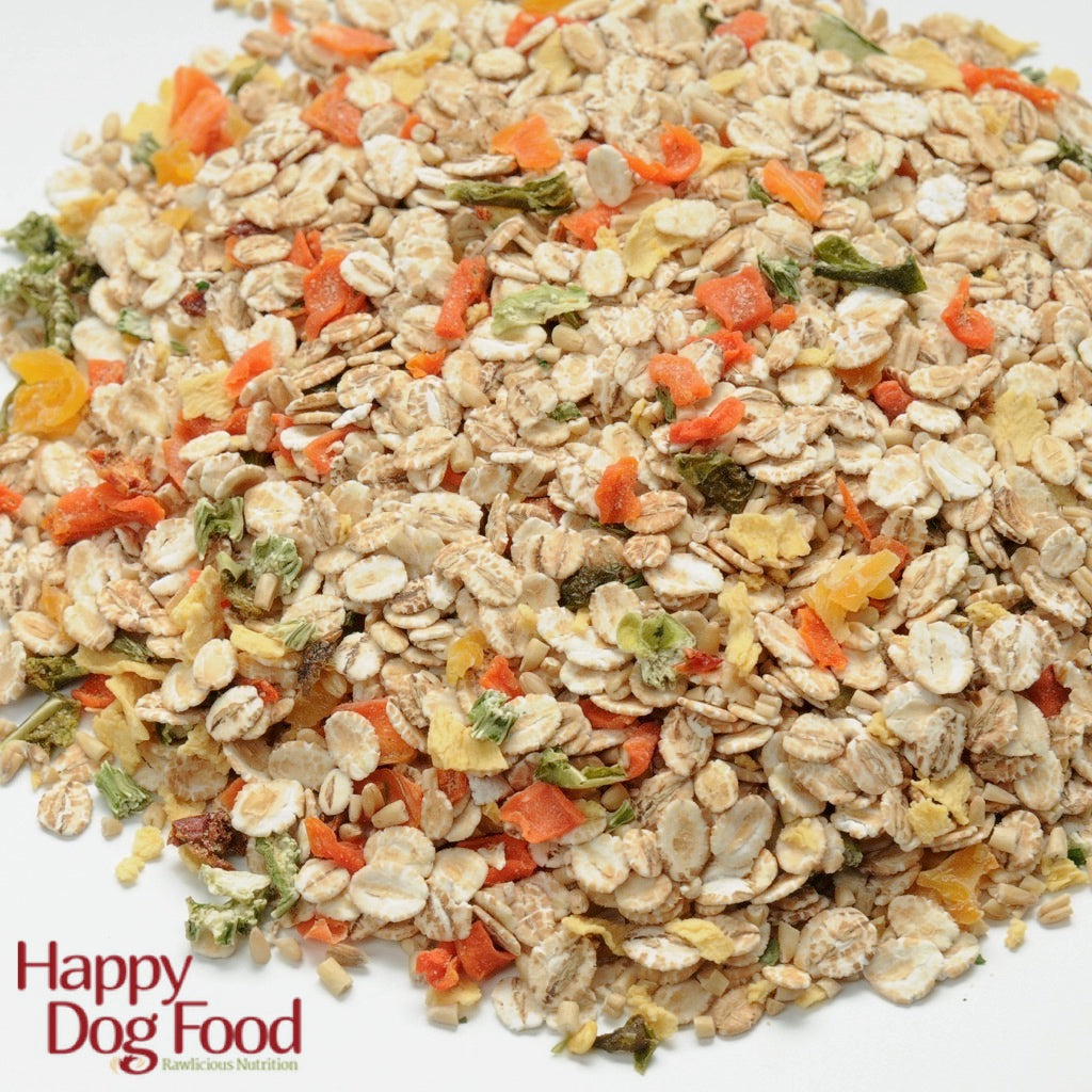 healthy natural dog food