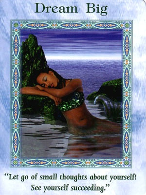 Dream Big, Mermaid and Dolphin Oracle Cards, Manifestation, Tarot, Chakras, Psychic, Seattle, Dani Tworek