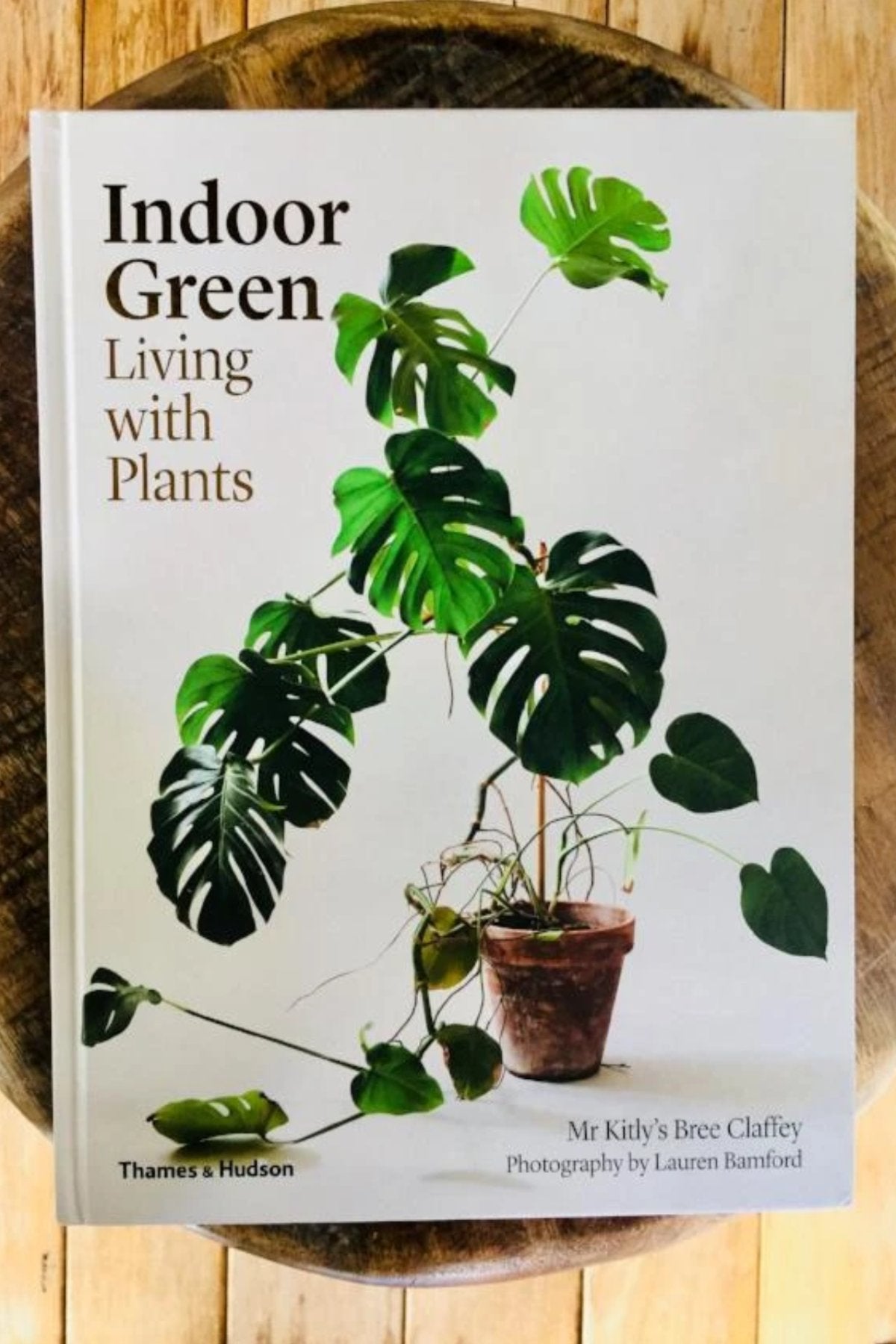 Indoor Green: Living with Plants