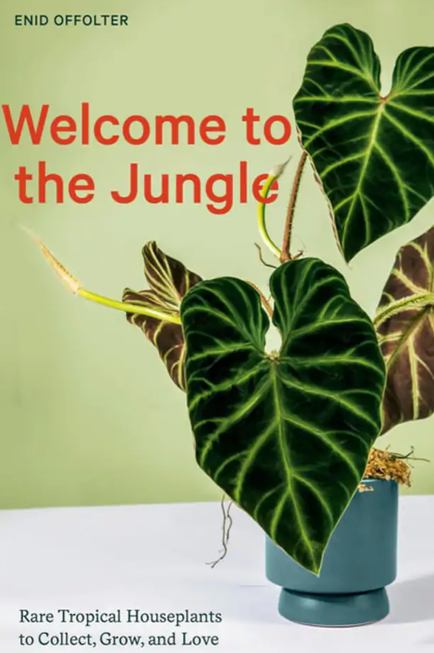 Welcome to the Jungle