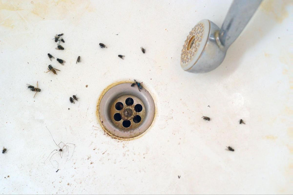 Best Ways to Clean Your Bathroom Sink Drain Yourself