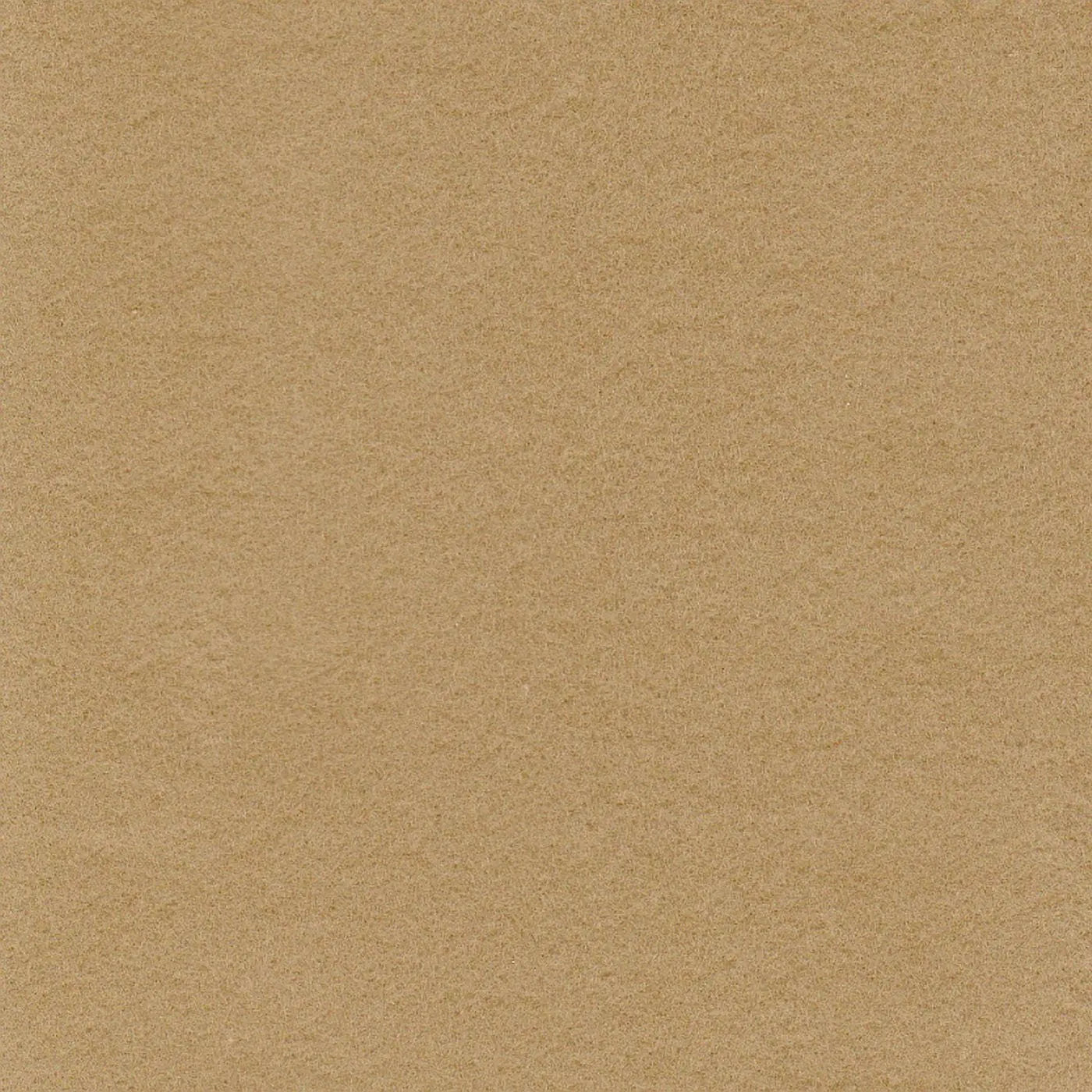 Camel Lightweight Cotton Moleskin