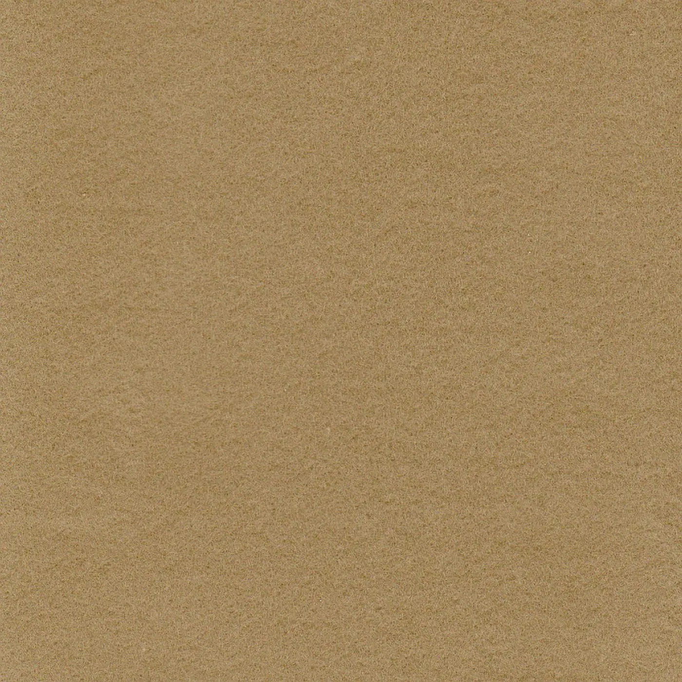 Camel Heavyweight Cotton Moleskin