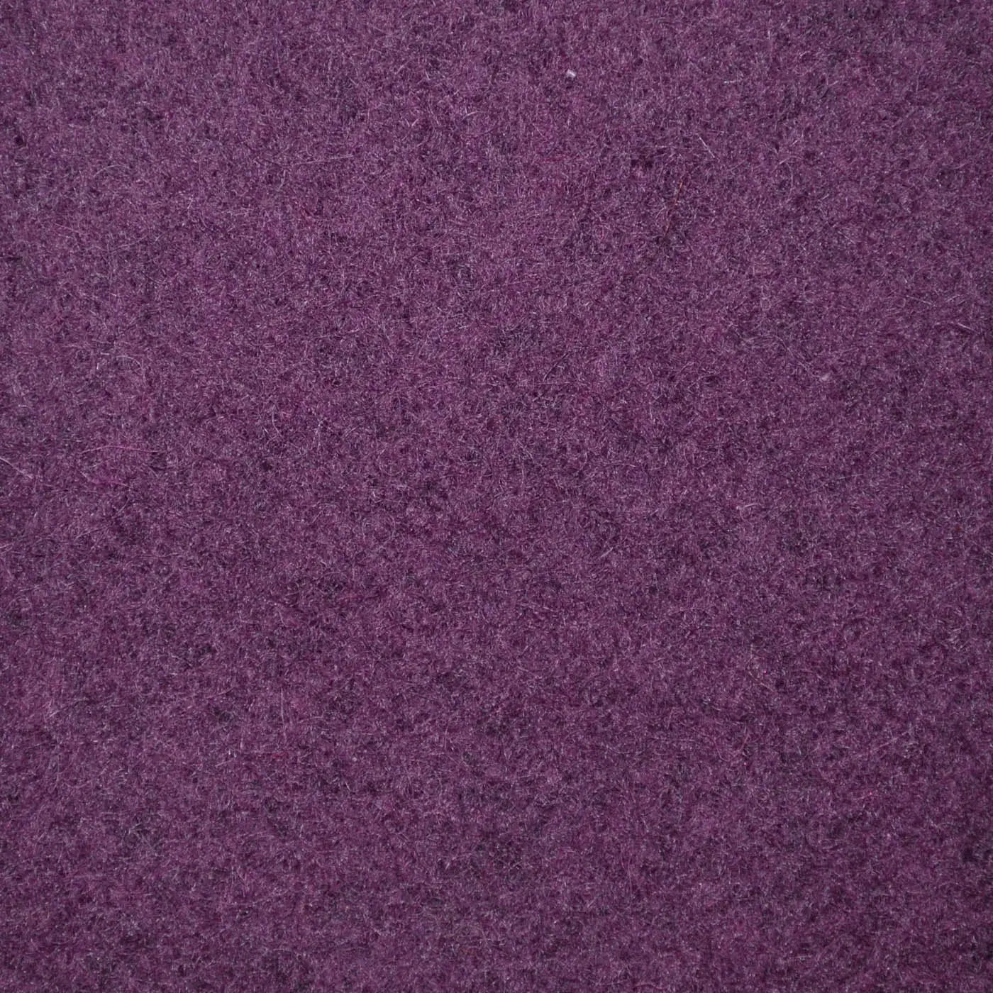 Plum Melton Wool Coating