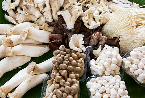 mushrooms are good for you, benefits of mushrooms