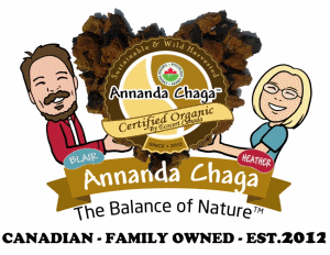 Annanda chaga Mushrooms