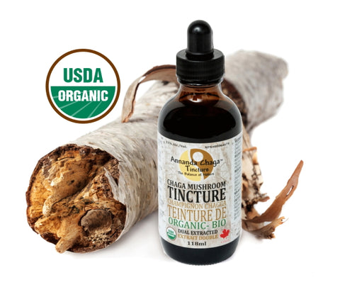 chaga mushroom tincture, chaga extract, chaga drops, chaga dual extract