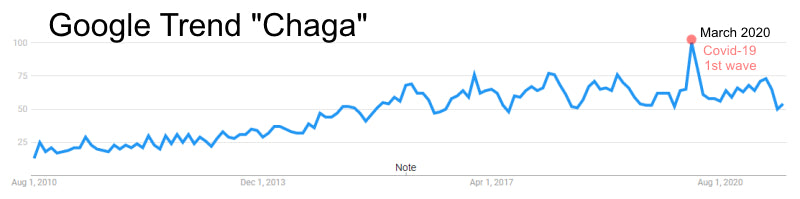 Google Trend - 10 year forcast of search term chaga