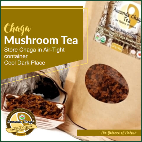 How to store chaga tea, does chaga tea go bad, storing chaga tea, does chaga tea need to be refrigerated 