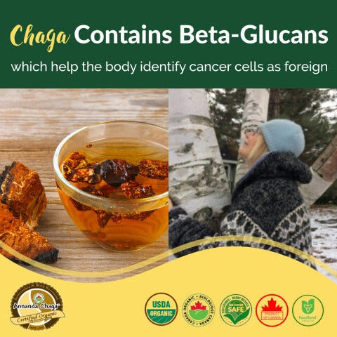 beta glucan