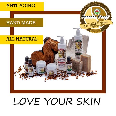 chaga skin care products