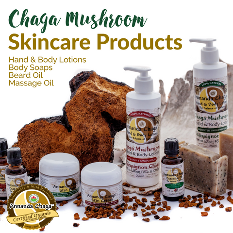 chaga skin care, chaga skin benefits