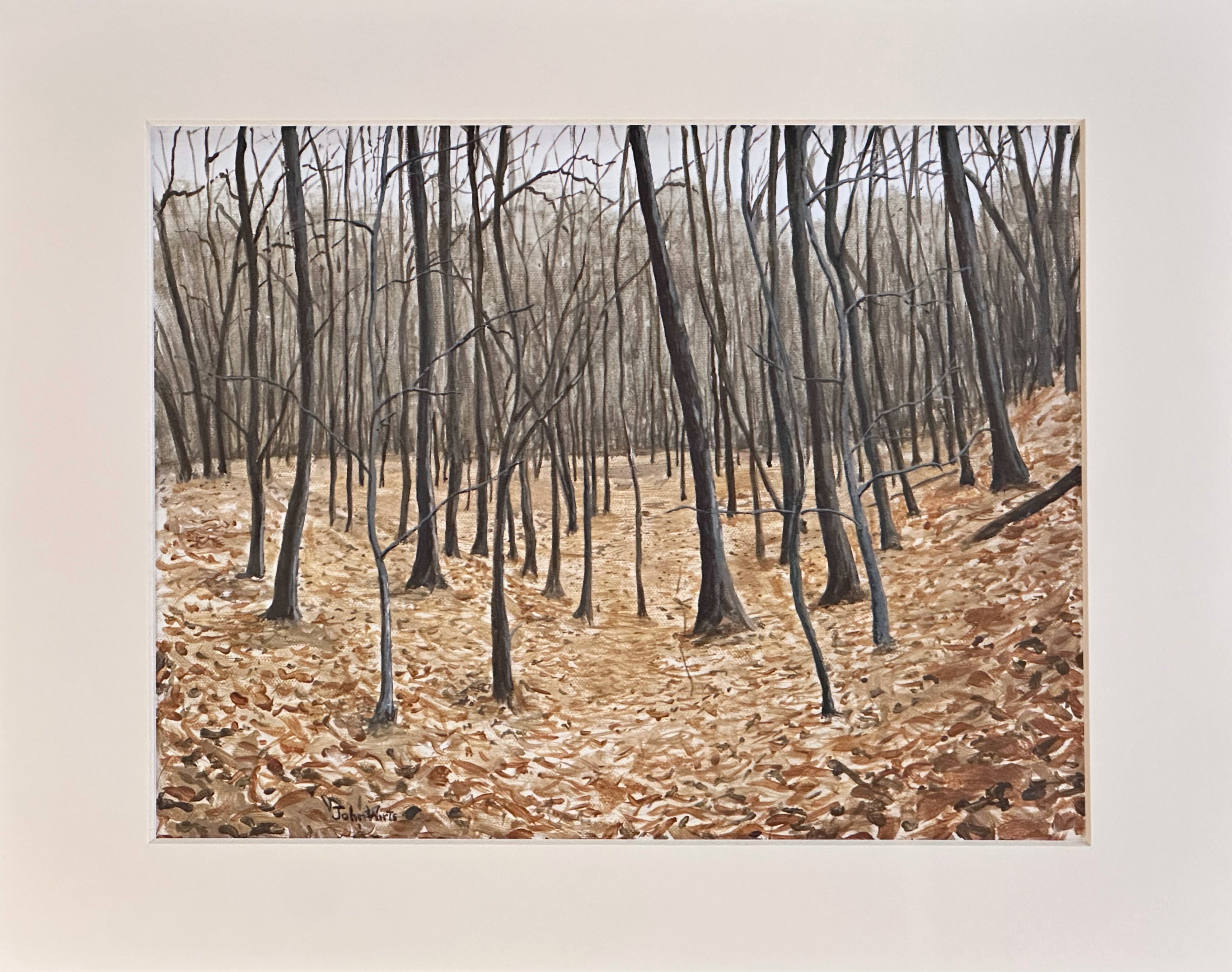 Print-Late Fall Trees on the Ridge