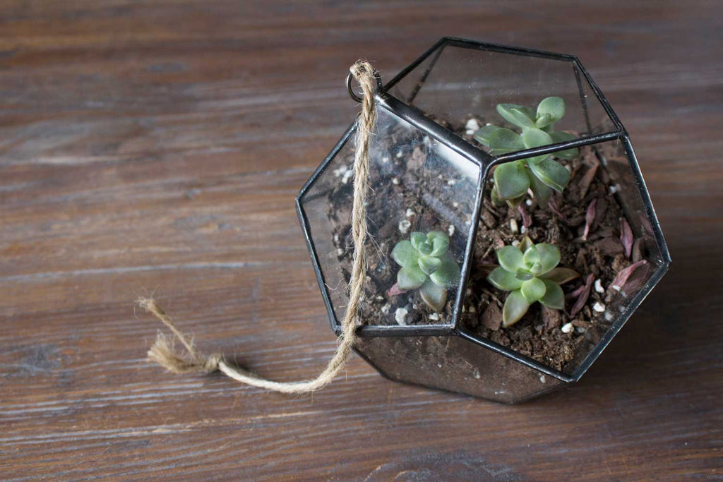 geometric terrarium for fall