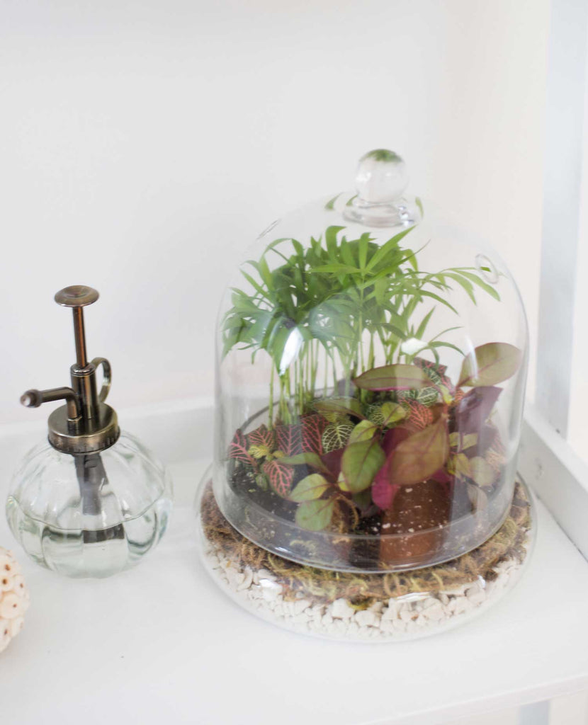 diy terrarium ideas