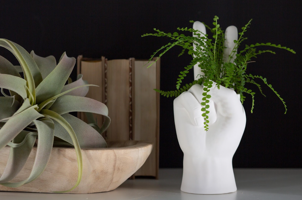 Two plants in whimsical planters next to books