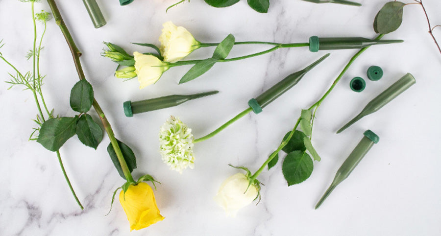 Several aquapics and stems of yellow roses