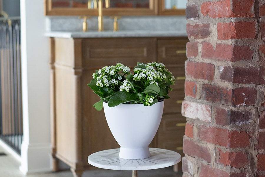 White flowers and greenery in a modern white vase