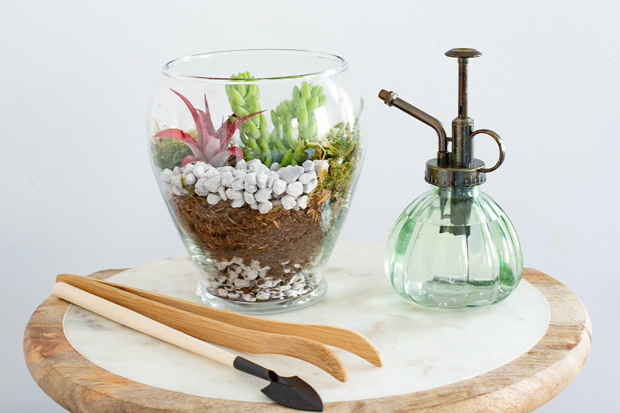 Plants in a terrarium with soil, rocks, and some terrarium care tools