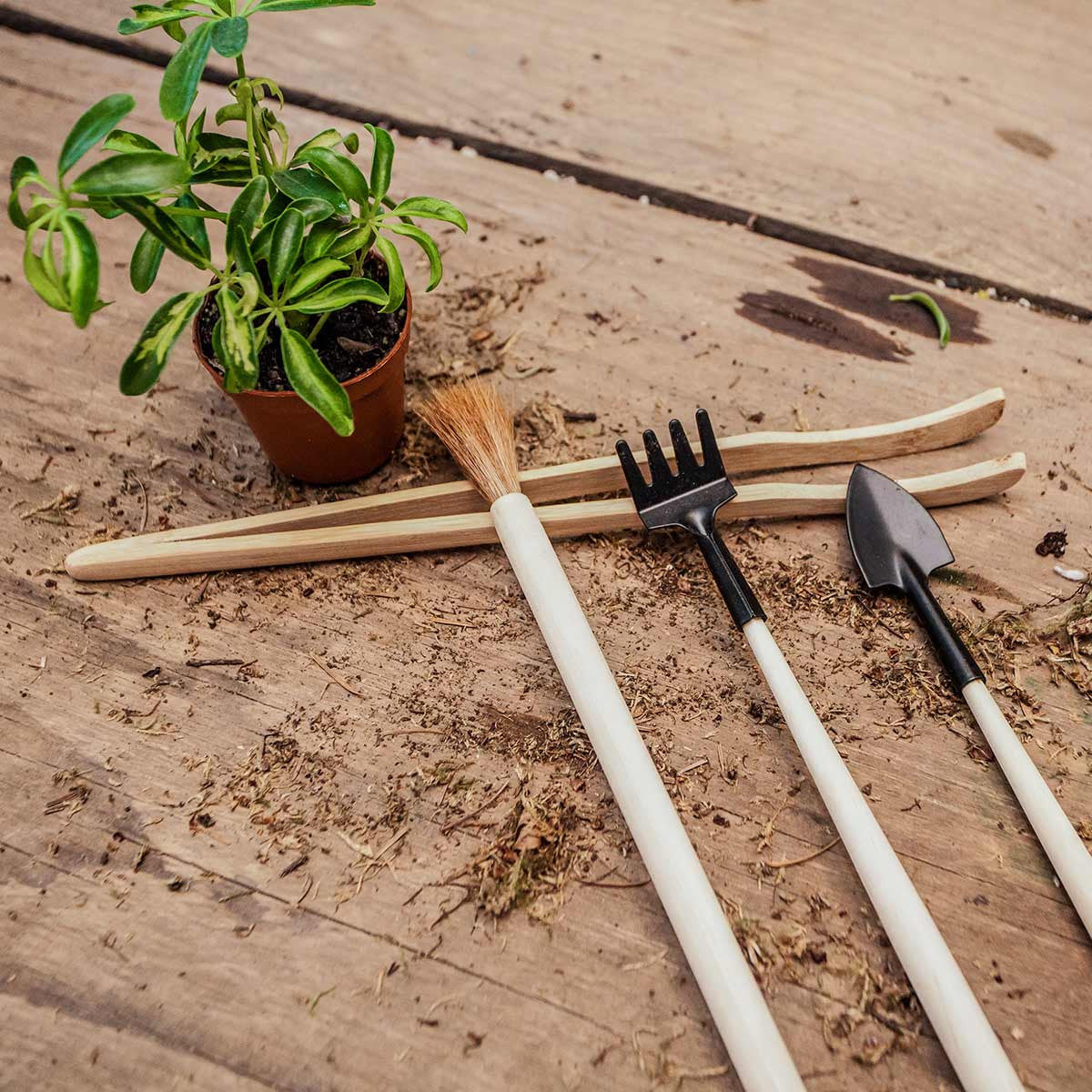 Syndicate Sales 4 Piece Terrarium Tool Kit