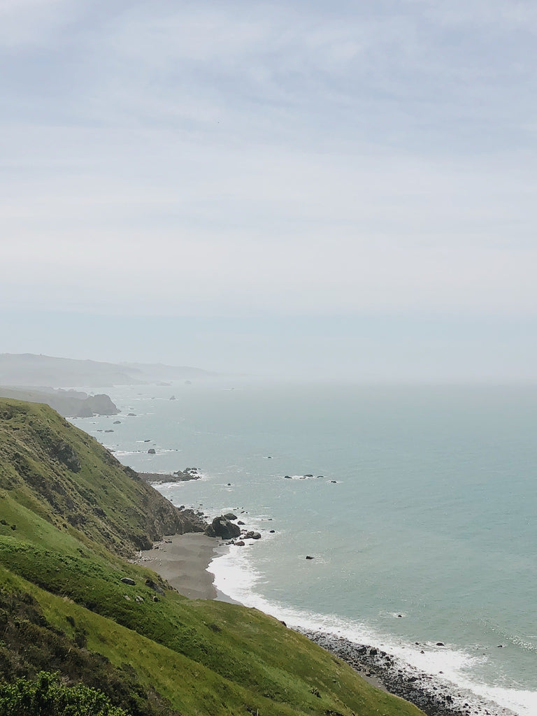 Sonoma Coast California - Mandi Nelson Photography - Promptly Journals 