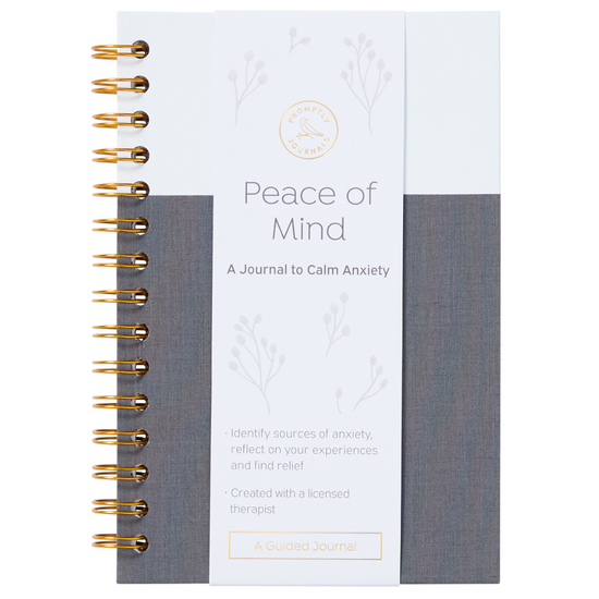 Anti-Anxiety Notebook and Calmness Journal, Psychology Journal, Anxiety  Journal